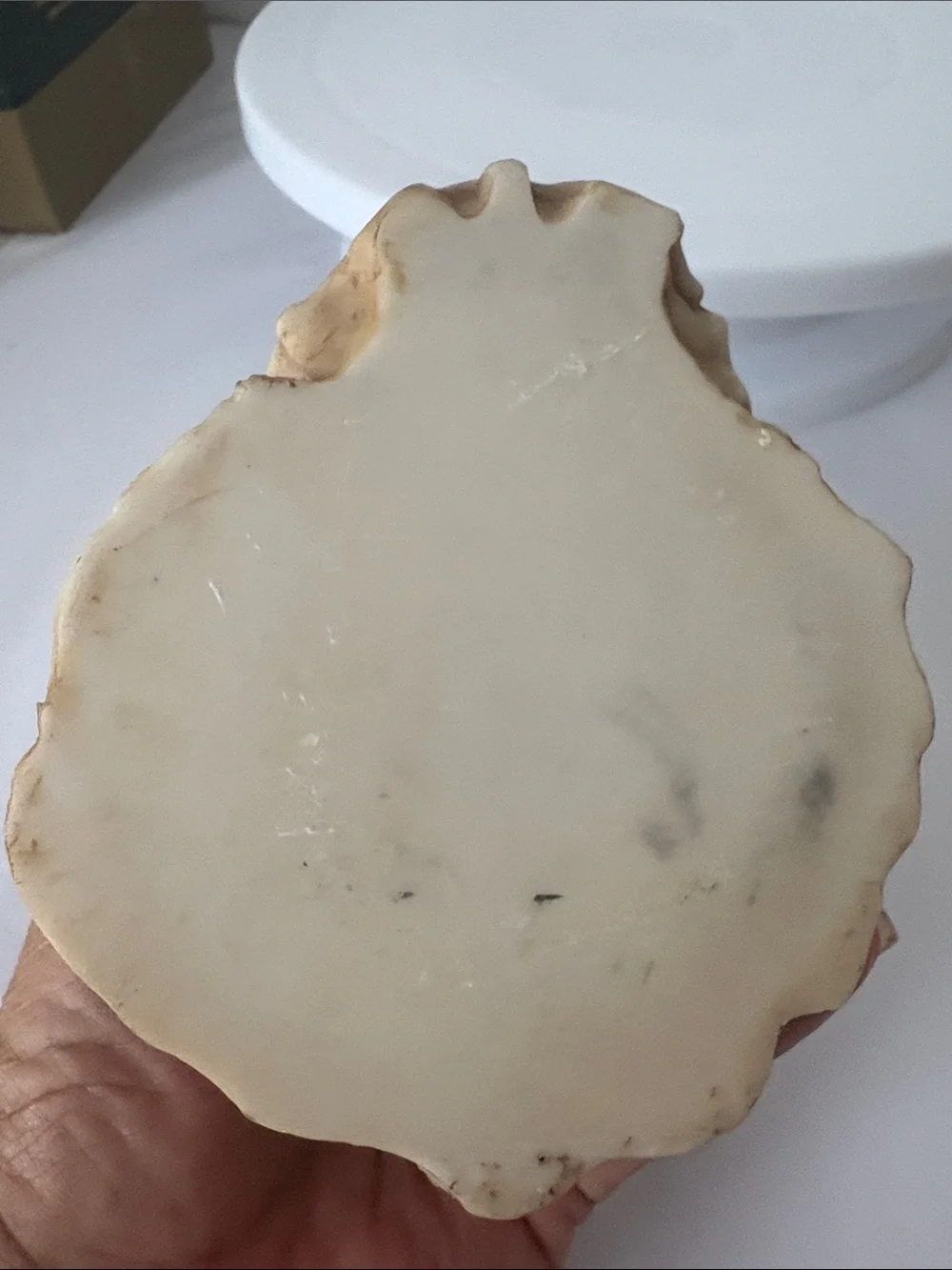 Skeleton  decor RESIN